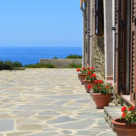 Agriturismo Finagliosu Palmadula Εξωτερικό φωτογραφία