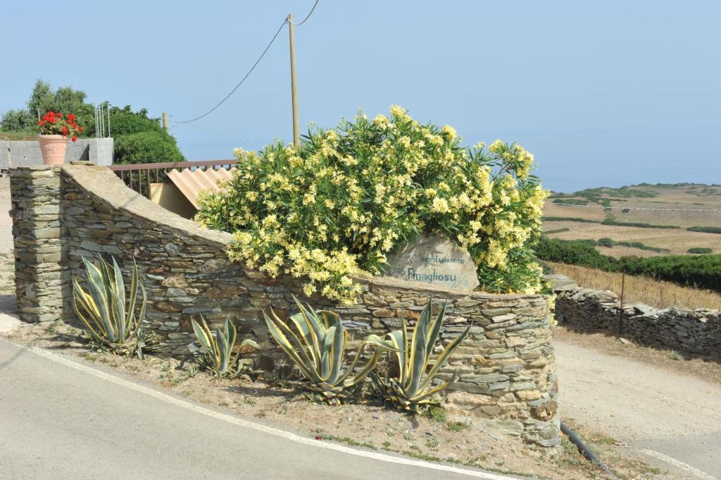 Agriturismo Finagliosu Palmadula Εξωτερικό φωτογραφία